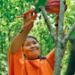 Peruvian Ceremonial Cacao - Heirloom, Certified Organic Cacao