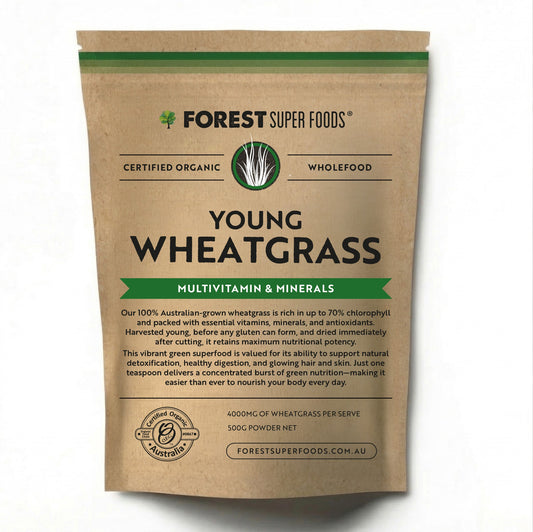 Australian Young Wheatgrass