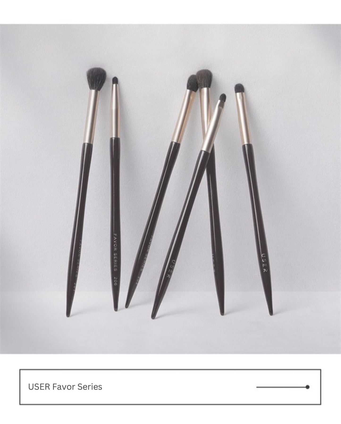 USER Favor Series Eye Makeup Brush Set