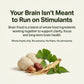 Brain Food